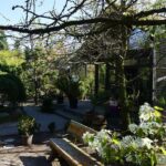 Langes Pfingstwochenende im Wildkatzenzentrum Tempelfelde 6 Bernau LIVE