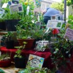 Regionalmarkt in Biesenthal – Einfach mal die Seele baumeln lassen 5 Regionalmarkt in Biesenthal – Einfach mal die Seele baumeln lassen