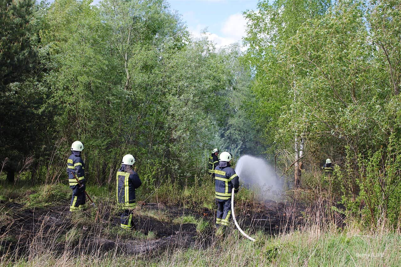 In Schwanebeck brannten am Nachmittag etwa 3.000 qm Waldboden