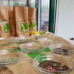 Bernau: Am Samstag präsentierte sich die BIO-Gärtnerei Lobetal 7 Bernau LIVE