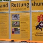 Ahrensfelde: Buntes Programm zum 1. Tag der Bildung in Blumberg 8 Bernau LIVE