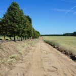 Radweg Wullwinkel-Biesenthal in Arbeit + Bernau-Panketal Vor-Ort-Termin 3 Bernau LIVE