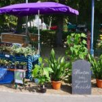 Bernau: 113. Jahresfest Lobetal feierlich mit Gottesdienst eröffnet 12 Bernau LIVE