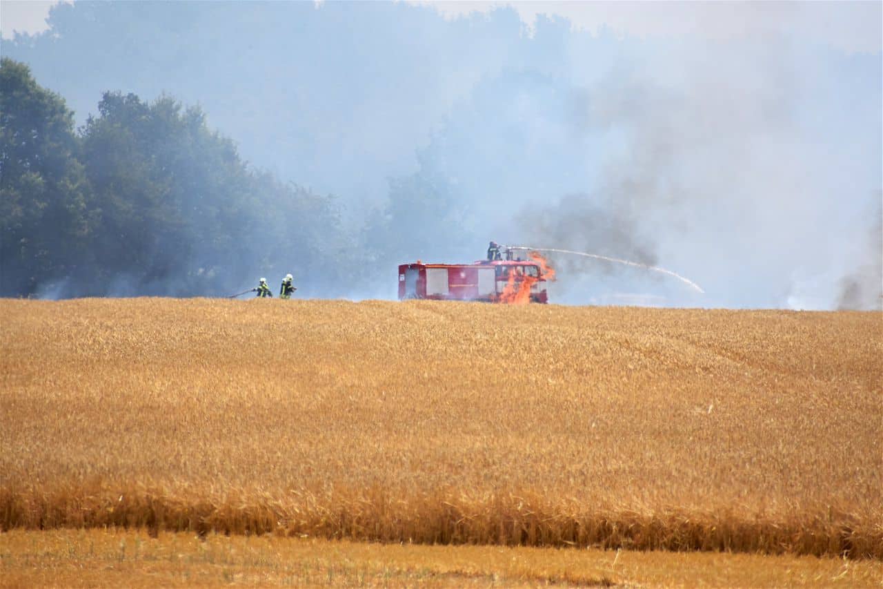 Mehrow - Ahrensfelde - Barnim: Wieder brennt eine große Feldfläche in unserer Region