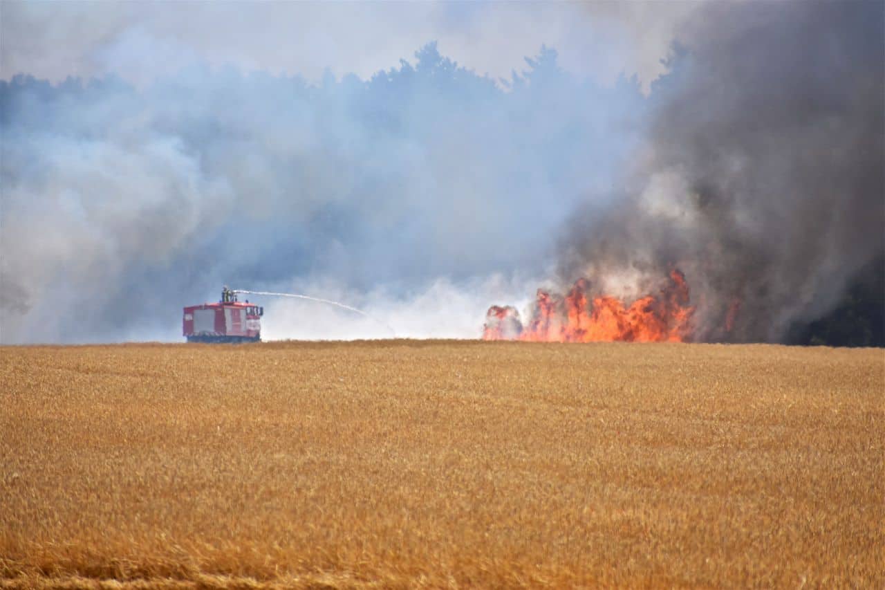 Mehrow - Ahrensfelde - Barnim: Wieder brennt eine große Feldfläche in unserer Region