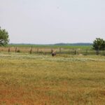 Brandenburger Landpartie – Zu Gast bei Bauer Peters in Löhme 4 Bernau LIVE