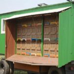 Brandenburger Landpartie – Zu Gast bei Bauer Peters in Löhme 7 Bernau LIVE