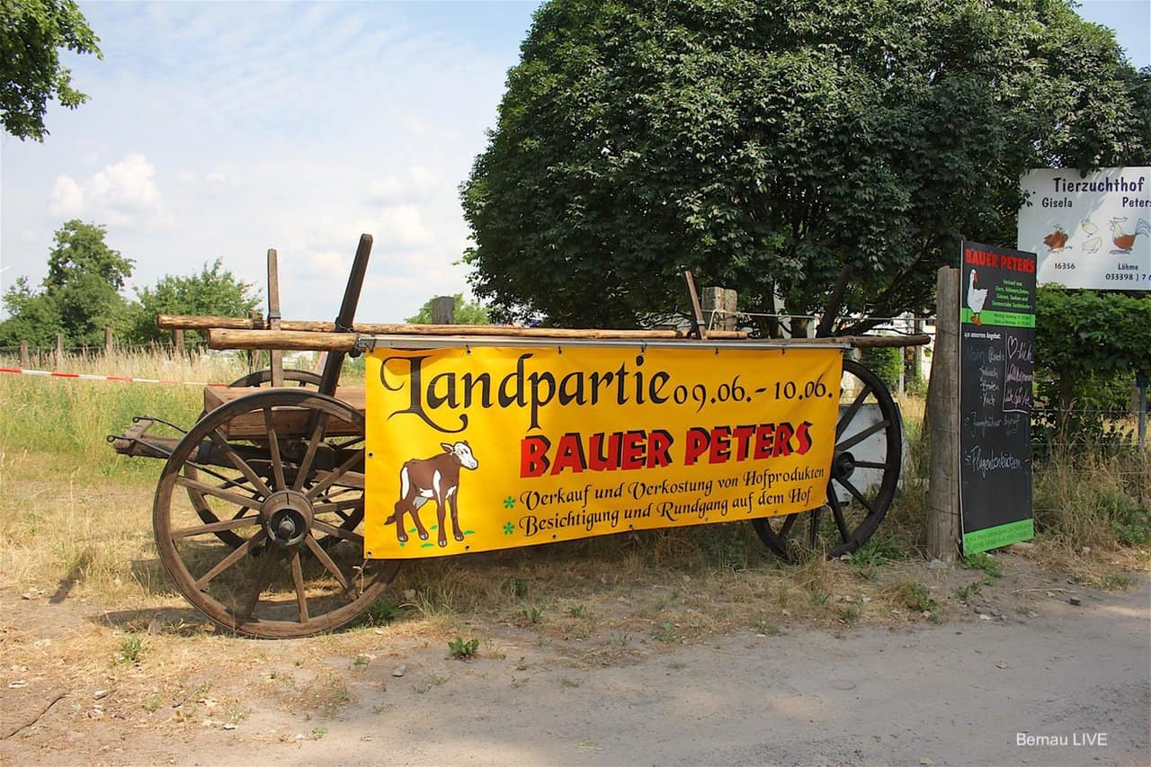 Brandenburger Landpartie – Zu Gast bei Bauer Peters in Löhme