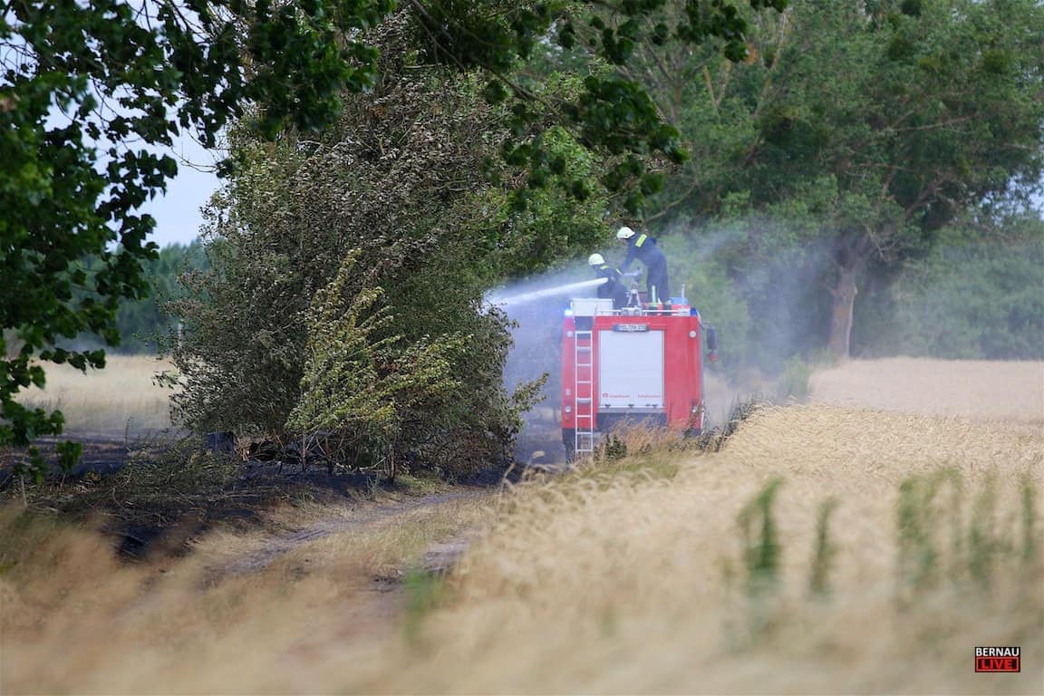 Nachtrag: Flächenbrand in Werneuchen - Seefeld und Hirschfelde