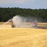 Nachtrag: Flächenbrand in Werneuchen - Seefeld und Hirschfelde 11 Bernau LIVE