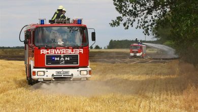 Bernau LIVE - Nachtrag: Flächenbrand in Werneuchen - Seefeld und Hirschfelde