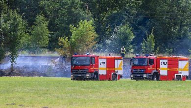 Bernau - Barnim -Feuerwehr - Böschungsbrände halten Bernauer Feuerwehren in Atem