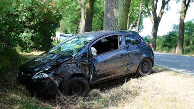 Polizei Barnim: Schwerer Unfall auf der B158 und weitere Meldungen