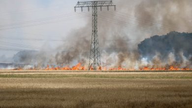 Bernau LIVE - Werneuchen - Seefeld: Flächenbrand hält Feuerwehren in Atem
