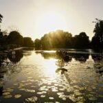 Inselleuchten Marienwerder 2018 - Video und Bilder vom Freitagabend 13 Bernau LIVE