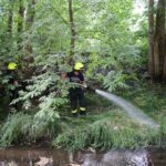 Mann lief mit Schreckschußwaffe durch Bernau + wieder Böschungsbrand 6 Bernau LIVE