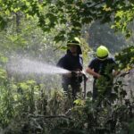 Mann lief mit Schreckschußwaffe durch Bernau + wieder Böschungsbrand 5 Bernau LIVE