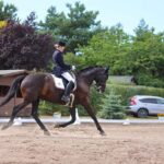 Zu Gast beim Reit- und Springturnier in Bernau - Ladeburg 22 Bernau LIVE