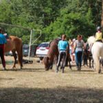 Tempelfelde feierte am Wochenende sein Dorf- und Vereinsfest 4 Bernau LIVE