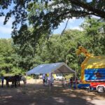 Tempelfelde feierte am Wochenende sein Dorf- und Vereinsfest 13 Bernau LIVE