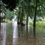 Dauerregen: 19 wetterbedingte Einsätze der Feuerwehren Bernau 15 Bernau LIVE