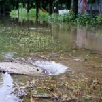 Dauerregen: 19 wetterbedingte Einsätze der Feuerwehren Bernau 9 Bernau LIVE