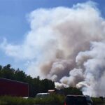 Fichtenwalde: Waldbrand gelöscht - Feuerwehren aus Barnim wohlbehalten zurück 15 Brandenburg: Noch immer brennt es nahe Fichtenwalde - A10/A9 weiterhin gesperrt