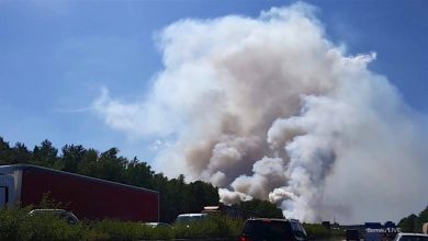 Brandenburg: Noch immer brennt es nahe Fichtenwalde - A10/A9 weiterhin gesperrt