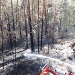 Fichtenwalde: Waldbrand gelöscht - Feuerwehren aus Barnim wohlbehalten zurück 7 Bernau LIVE