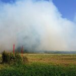 Bernau: Brand in Schönow unter Kontrolle - ein Kamerad verletzt 29 Bernau LIVE