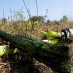 Bernau: Brand in Schönow unter Kontrolle - ein Kamerad verletzt 26 Bernau LIVE
