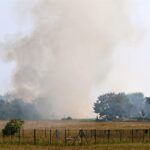 Bernau: Brand in Schönow unter Kontrolle - ein Kamerad verletzt 5 Bernau LIVE