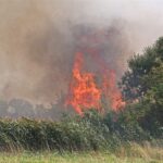 Bernau: Brand in Schönow unter Kontrolle - ein Kamerad verletzt 6 Bernau LIVE