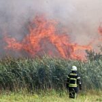 Bernau: Brand in Schönow unter Kontrolle - ein Kamerad verletzt 23 Bernau: Brand in Schönow unter Kontrolle - ein Kamerad verletzt