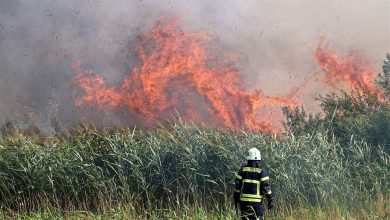 Bernau: Brand in Schönow unter Kontrolle - ein Kamerad verletzt