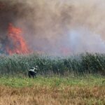 Bernau: Brand in Schönow unter Kontrolle - ein Kamerad verletzt 9 Bernau LIVE