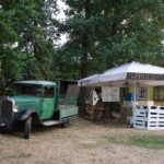 Theater auf der Badewiese & heutiges Lichterfest in Stolzenhagen 6 Theater auf der Badewiese & heutiges Lichterfest in Stolzenhagen