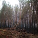 Waldbrand in Treuenbrietzen - Barnimer Einsatzkräfte gesund zurück 45 Bernau LIVE