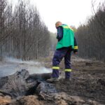 Waldbrand in Treuenbrietzen - Barnimer Einsatzkräfte gesund zurück 22 Bernau LIVE