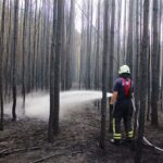 Waldbrand in Treuenbrietzen - Barnimer Einsatzkräfte gesund zurück 20 Bernau LIVE