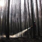 Waldbrand in Treuenbrietzen - Barnimer Einsatzkräfte gesund zurück 19 Bernau LIVE