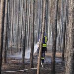 Waldbrand in Treuenbrietzen - Barnimer Einsatzkräfte gesund zurück 18 Bernau LIVE