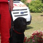 Voll wars: Tag der Vereine und Kunst- und Handwerkermarkt Bernau 44 Bernau LIVE