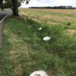 Wütend! Bis zu 170 Farbeimer illegal am Waldrand in Bernau entsorgt 4 Bernau LIVE