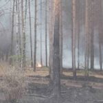 Waldbrand in Treuenbrietzen - Barnimer Einsatzkräfte gesund zurück 60 Bernau LIVE