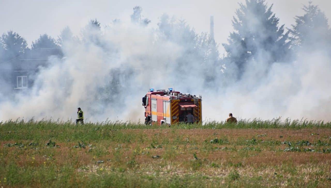 Feuerwehr Bernau: Zur Zeit brennt in Schönow eine große Freifläche