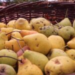 Klein aber Fein - Lobetal feiert heute sein diesjähriges Erntefest 29 Bernau LIVE