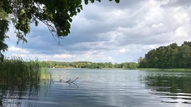 Euch einen stressfreien Dienstag, guten Morgen aus Bernau