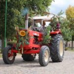 Erntefest in Danewitz - Alle waren und sind auf den Beinen 43 Bernau LIVE