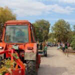 Erntefest in Danewitz - Alle waren und sind auf den Beinen 23 Bernau LIVE